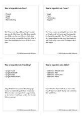 Quiz-Karten-Tiernamen 35.pdf